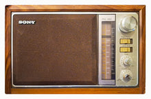 Load image into Gallery viewer, SONY ICF-9740W electrolytic capacitor kit