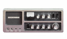 Load image into Gallery viewer, Teaberry Twin-T electrolytic capacitor kit