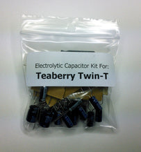 Load image into Gallery viewer, Teaberry Twin-T electrolytic capacitor kit