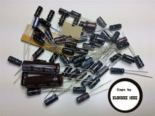 Load image into Gallery viewer, President Jackson Mk1 (PC-879AB) electrolytic capacitor kit
